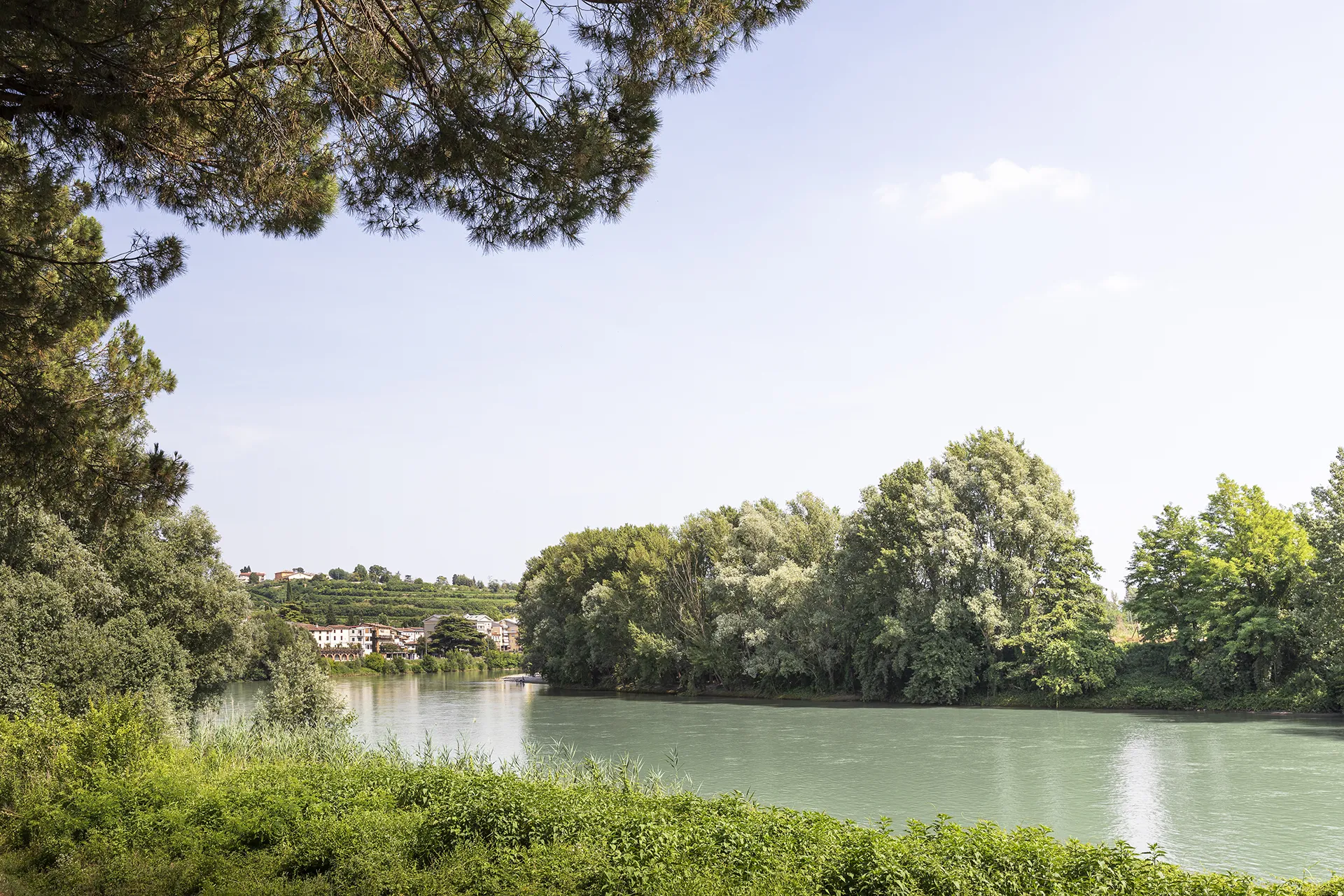 Il Parco dell'Adige e la ciclabile vicino a Corte Achillea, nella campagna veronese